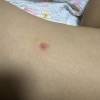 comment-small-img