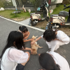 comment-small-img
