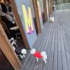 comment-small-img
