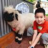 comment-small-img