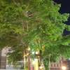 comment-small-img