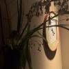 comment-small-img