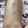 comment-small-img