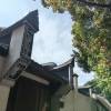 comment-small-img