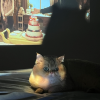 comment-small-img