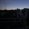 comment-small-img
