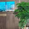 comment-small-img