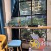 comment-small-img