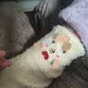 comment-small-img