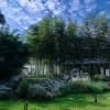 comment-small-img