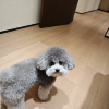 comment-small-img