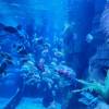 comment-small-img