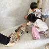 comment-small-img
