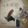 comment-small-img