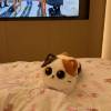comment-small-img