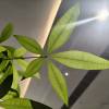 comment-small-img