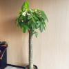 comment-small-img