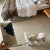 comment-small-img