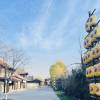 comment-small-img