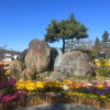 comment-small-img