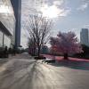 comment-small-img