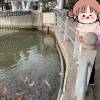 comment-small-img
