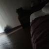 comment-small-img