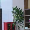comment-small-img