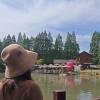 comment-small-img
