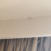 comment-small-img