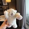 comment-small-img