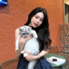 comment-small-img
