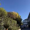 comment-small-img