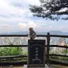 comment-small-img