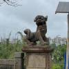 comment-small-img
