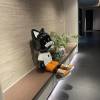 comment-small-img