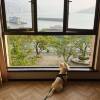 comment-small-img