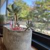 comment-small-img