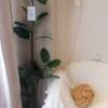 comment-small-img