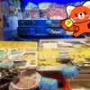 comment-small-img