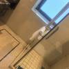 comment-small-img