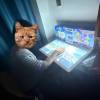 comment-small-img