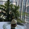 comment-small-img