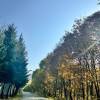 comment-small-img