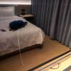 comment-small-img