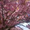 comment-small-img