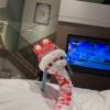 comment-small-img