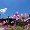 comment-small-img