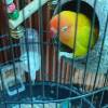comment-small-img