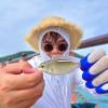 comment-small-img